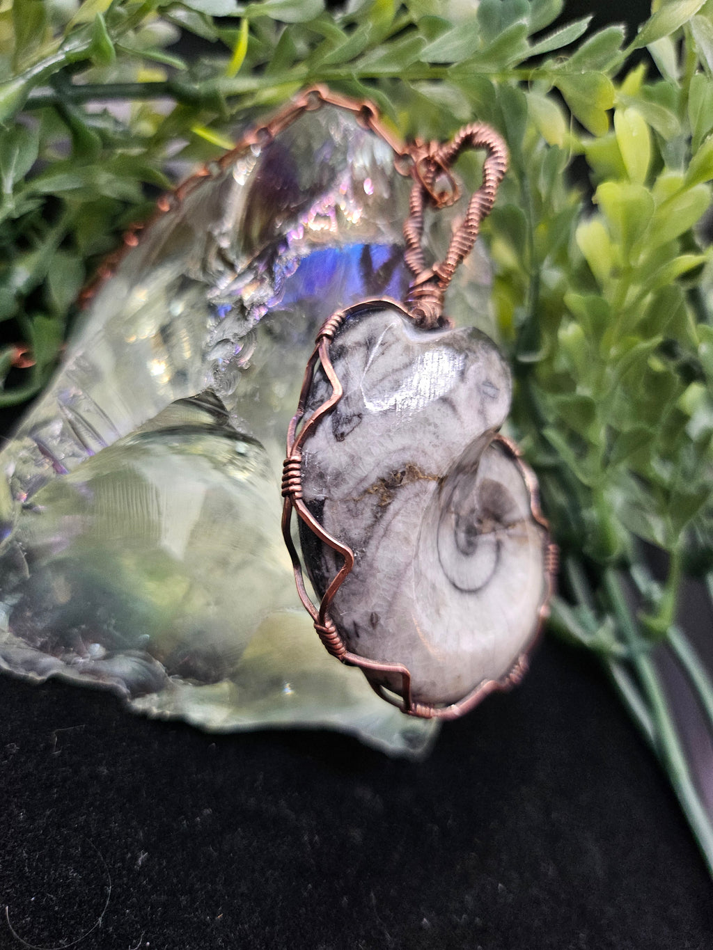 Ammonite Fossil Double-sided Pendant