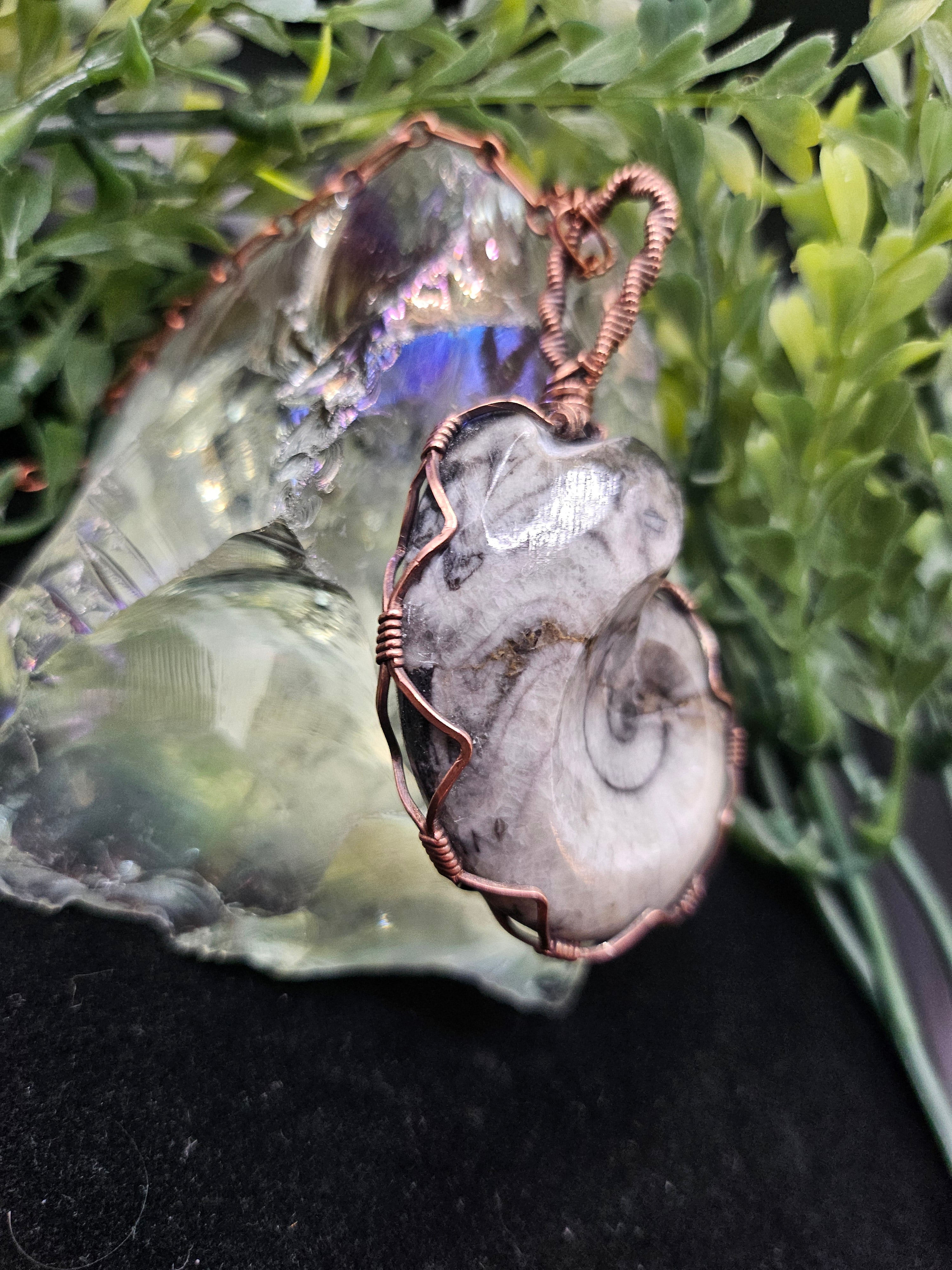 Ammonite Fossil Double-sided Pendant