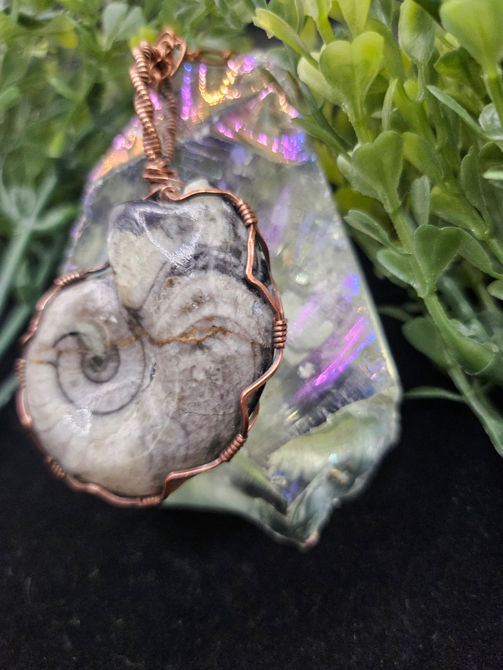 Ammonite Fossil Double-sided Pendant
