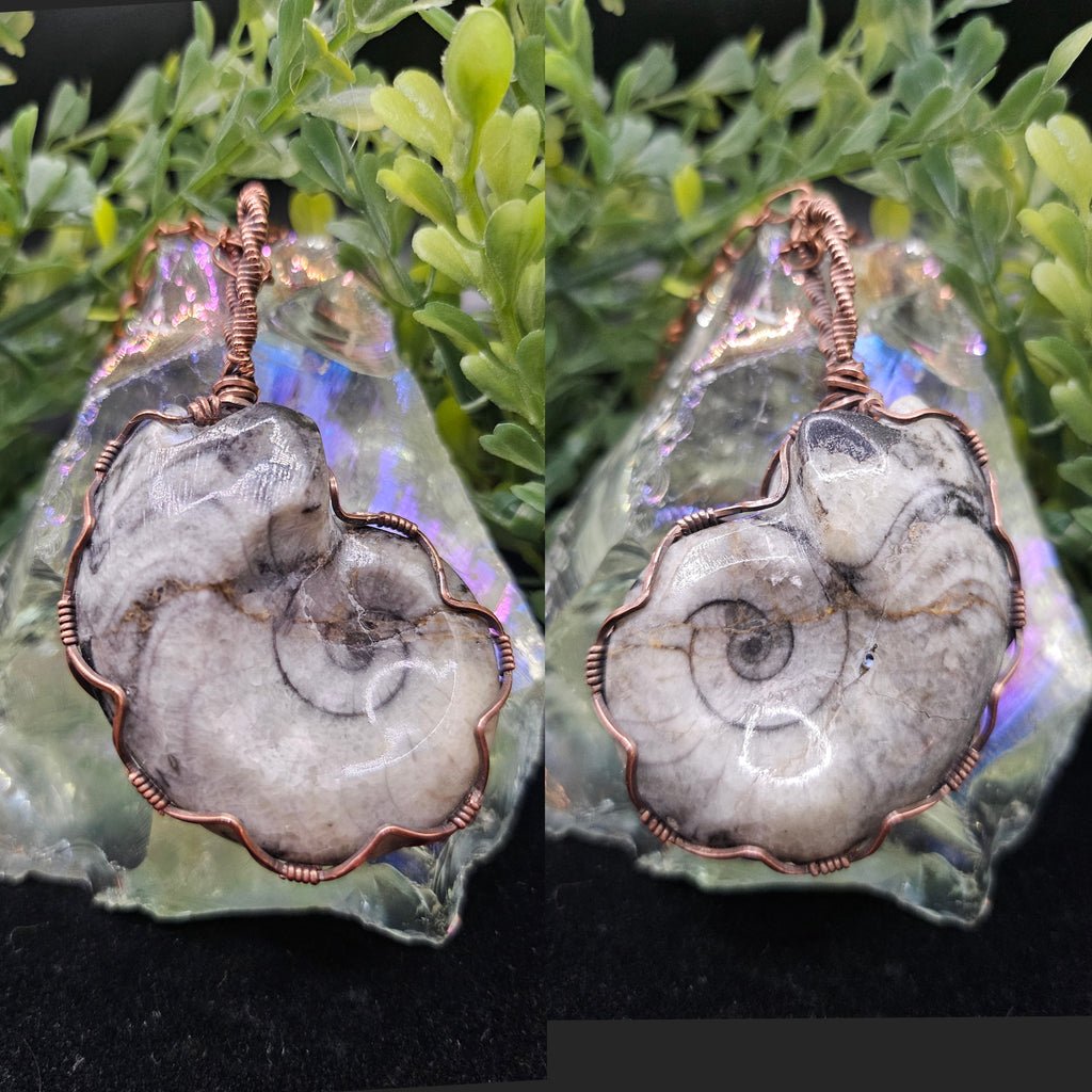 Ammonite Fossil Double-sided Pendant