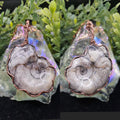 Ammonite Fossil Double-sided Pendant